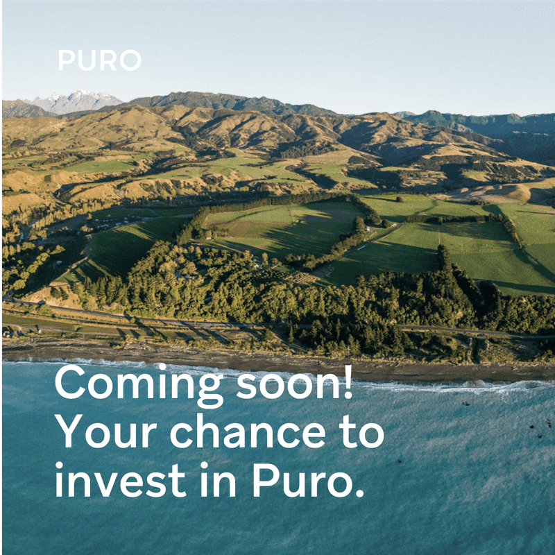 Puro set to grow again with second capital raise